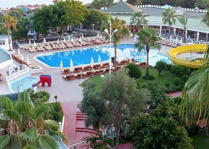 The Garden